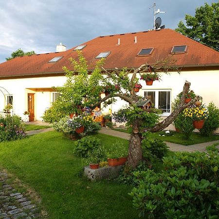 Ubytovani Poustka Františkovy Lázně Buitenkant foto