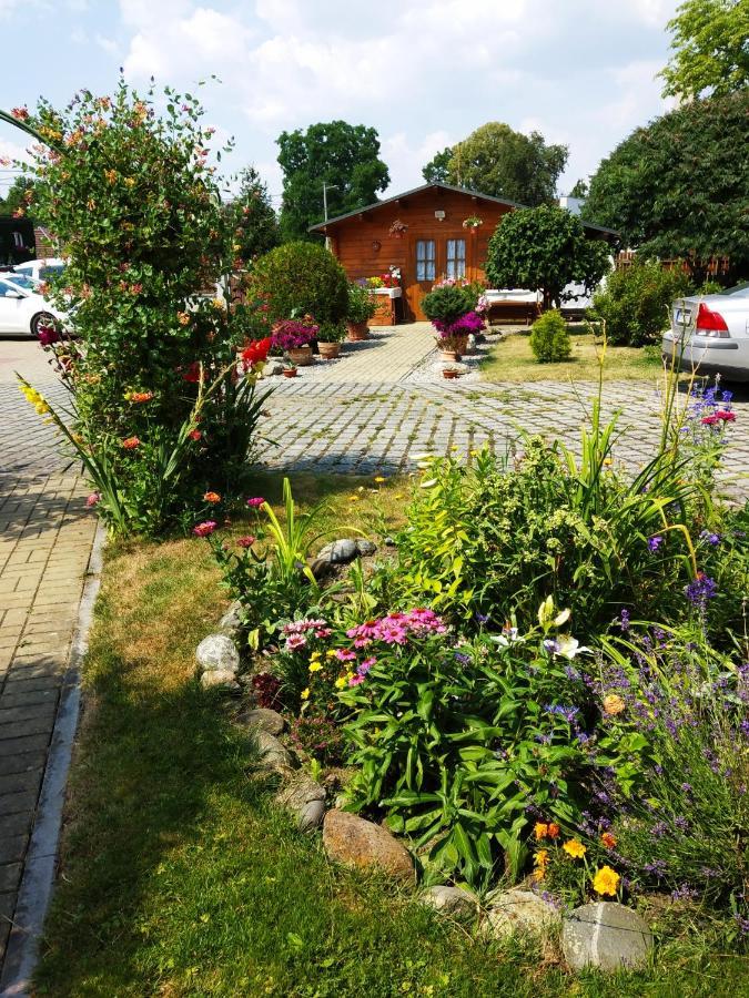 Ubytovani Poustka Františkovy Lázně Buitenkant foto